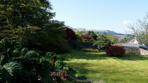 garden5.jpg