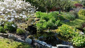 garden4.jpg