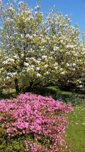 garden3.jpg