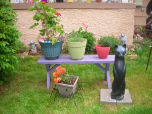 garden 004.jpg