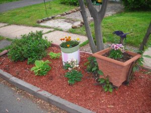 garden 006.jpg