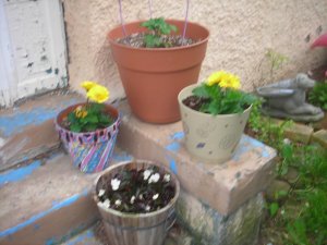 garden 001.jpg