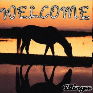 welcomehorsesea.gif