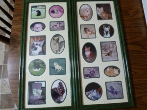 dogs (800x600).jpg dogs (800x600).jpg