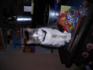 Mr foot 001.jpg