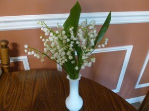 lillies of the valle (800x600).jpg