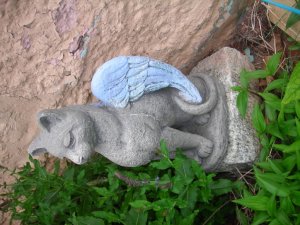 New garden+cat 016.jpg