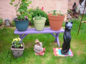 New garden+cat 009.jpg