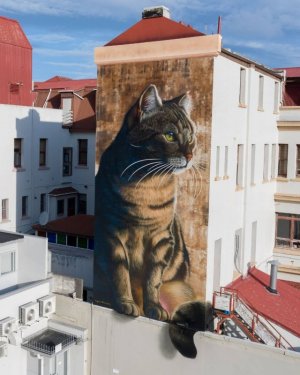 Street-Art-of-a-cat-by-SWIFTMANTIS-in-Papaioea-New-Zealand-1.jpg