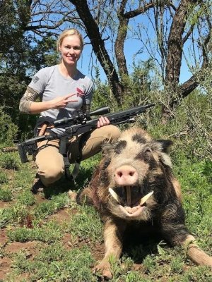 Rifle Hog Hunts Texas.jpg