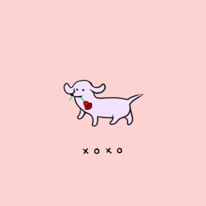 dog with rose.gif