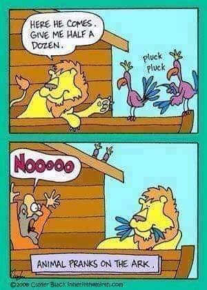 Animal pranks.jpg