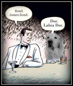 dogs011422.jpg