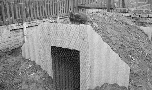 Anderson Shelter.jpg