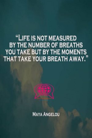55fb1a7100326f7537220b349593f03a[1].jpg