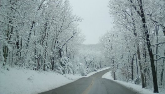 IMG_20220116_110558.jpg