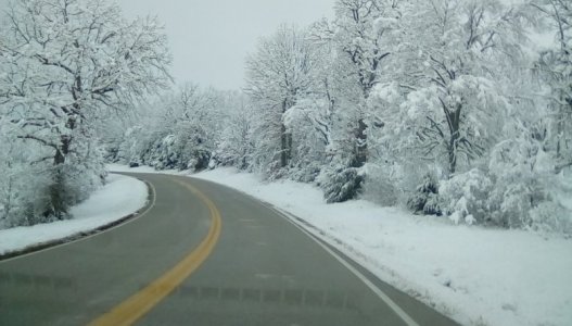 IMG_20220116_110800.jpg