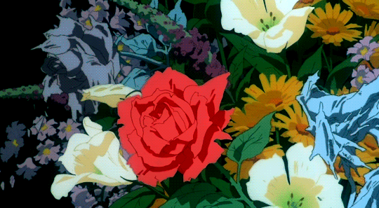 tumblr_7f90a8b27eef66f15698d7b294e6c015_7a86c321_540.gif