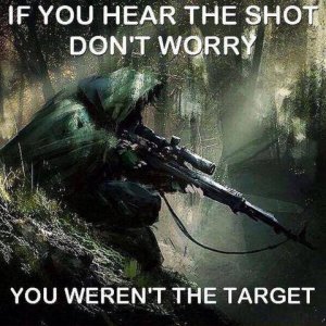 shot.jpg