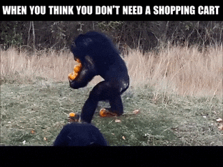 36ae79ef65a7bed0f6fac1a670f5f1ae.gif