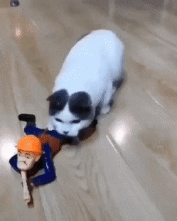 1589722142_me3ludepsk.gif