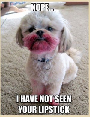 dog lipstick.jpg