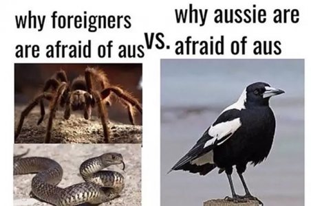 0.jpg
