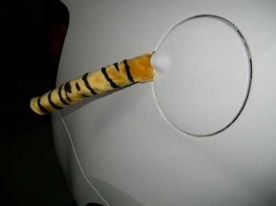 tiger tail.jpg