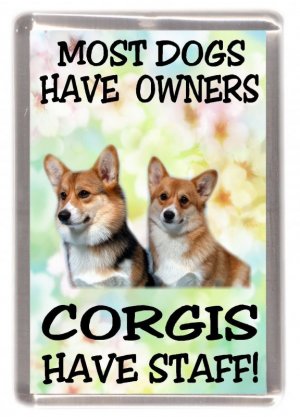 Pembroke Welsh Corgi Fridge Magnet - Most Dogs Have Owners Corgis Have Staff_ Great Gift for ...jpeg