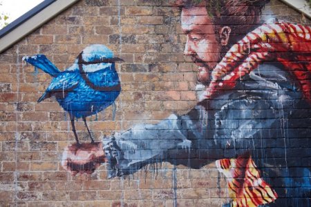 fintan-magee-mural--jam-projectflickr.jpg