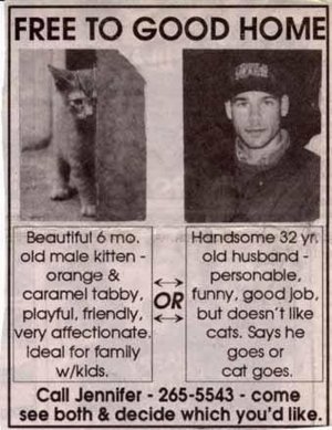 cattitude011722.jpg
