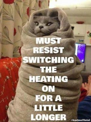 278c4f79850991f12dd174be7cdd9e8c[1].jpg
