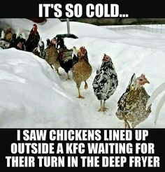 16b2436879944ab05e6d0b8642e6779b[1].jpg