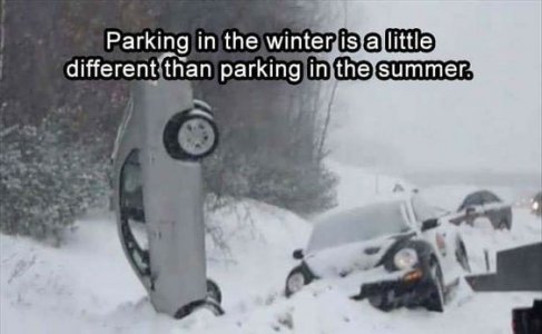 6b1c79e95009621946c5f32e57450043[1].jpg