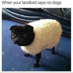 E2576992-C97F-4D3D-80E5-C23F9C14A592.jpeg