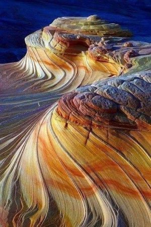 amazingnature012122.jpg