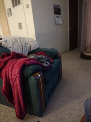 Suzy today 12222.jpg