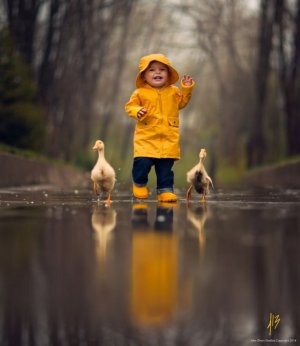 the-great-race-jake-olson-studios-small-children-and-animals-even-in-the-rain.jpg