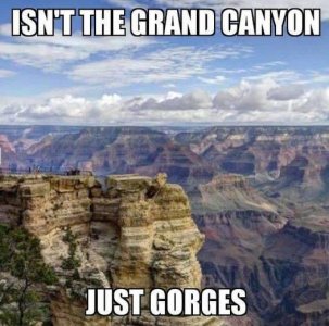 52C4535C-1FCE-4646-9A03-8B6B560FB74D.jpeg