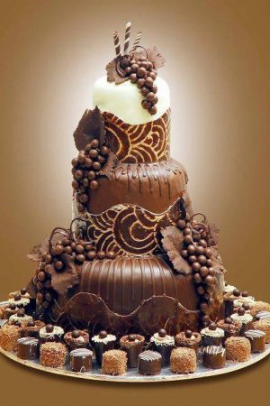 Gourmet Choc cake.jpg