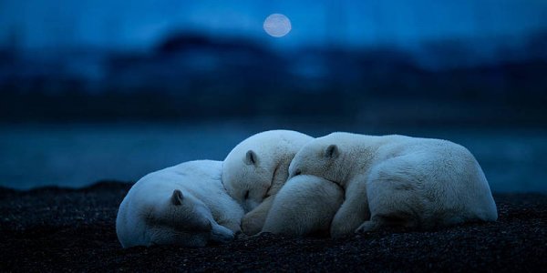 dream-hung-tsui.jpg dream-hung-tsui.jpg