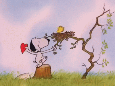 snoopy.woodstock.gif