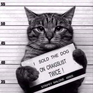 30-Humor-Animal-Pictures-1-animals-Humor.jpg