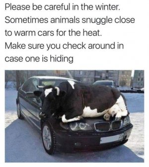 FB_IMG_1643339034922.jpg
