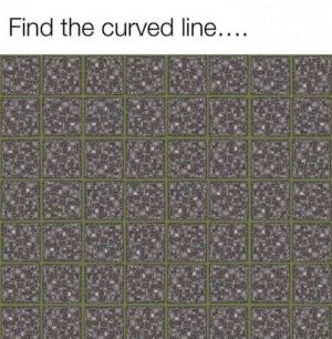 B8F7F91D-138E-49B6-841D-41CB5B286DAF.jpeg
