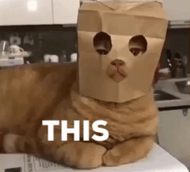Face-Mask-Memes-and-Images-That-Show-the-Lighter-Side-of-Social-Distancing-8.gif