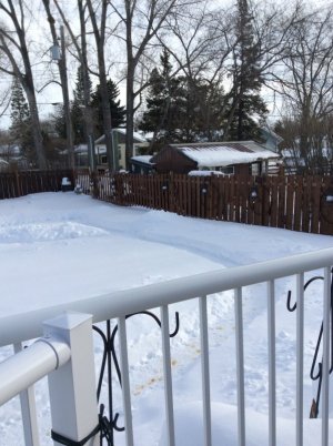 IMG_1187.jpeg