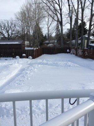 IMG_1186.jpeg