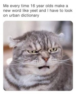 272987238_1818983044968678_6710381415415449580_n.jpg