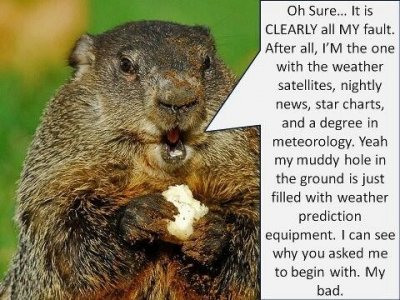 Ground hog day.jpeg